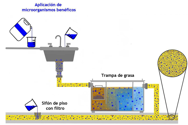 Limpieza de Trampas de Grasa